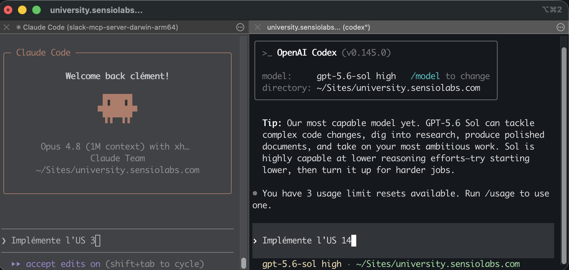 Claude et Codex en terminal